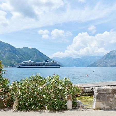 Konoba 224 Apartments Kotor Zewnętrze zdjęcie